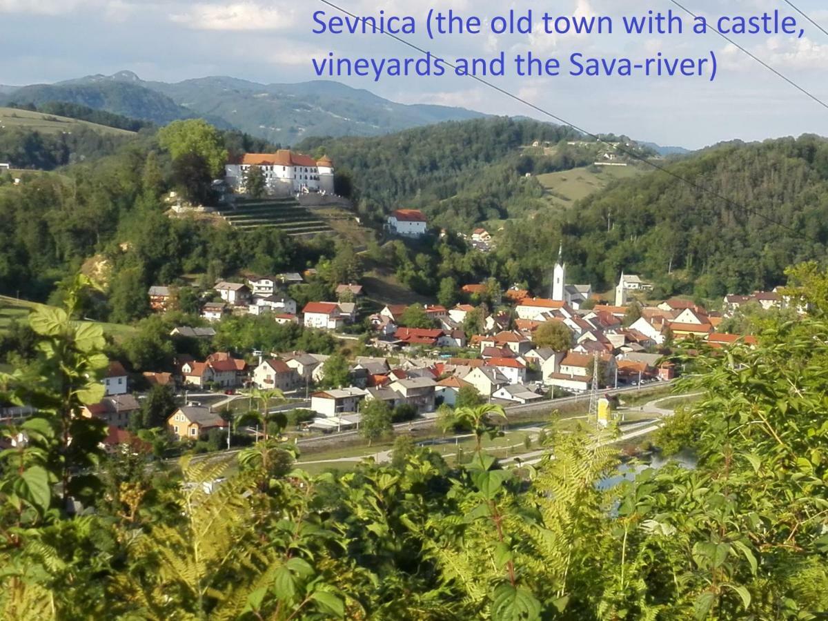 Getaway "At The Three Lights" Villa Sevnica Exterior foto
